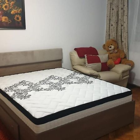 康斯坦察Apartamentdecebal公寓 外观 照片