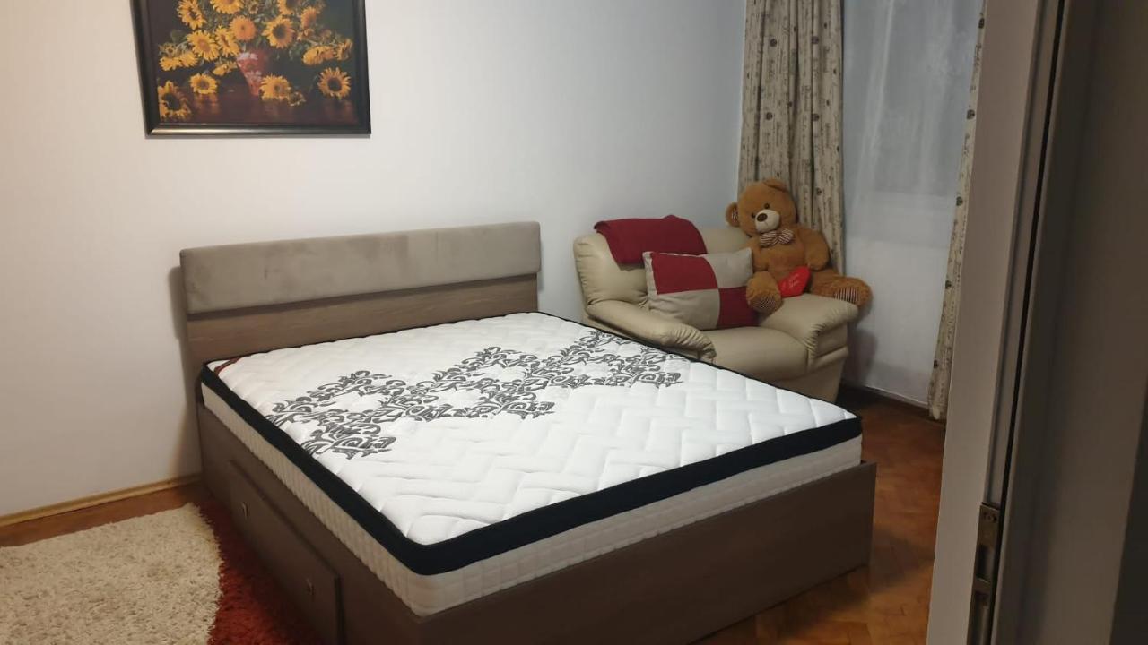康斯坦察Apartamentdecebal公寓 外观 照片